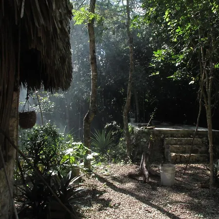 Barefoot Jungle Studios