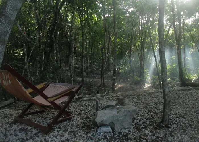Pensión Barefoot Jungle Tulum