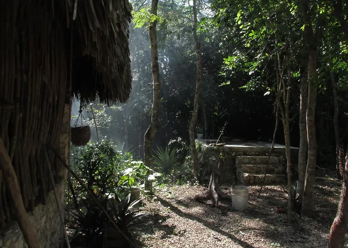 Pensión Barefoot Jungle